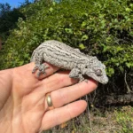 Gargoyle Gecko Adult Female #2 (Rhacodactylus auriculatus)