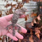 Mossy Leaf Tailed Gecko (Uroplatus sikorae)